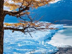 Un viaje a la Edad de Hielo, a dos horas de Buenos Aires