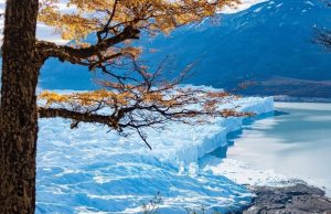 Un viaje a la Edad de Hielo, a dos horas de Buenos Aires Revista Selecciones