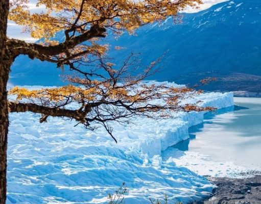 Un viaje a la Edad de Hielo, a dos horas de Buenos Aires