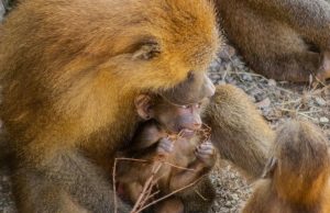 Viajar con mamá Revista Selecciones