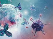 La vida de una célula en constante mutación