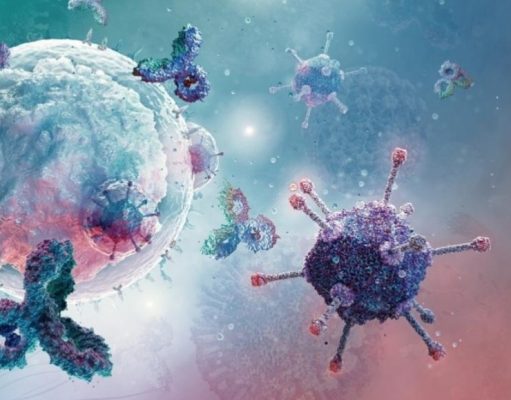 La vida de una célula en constante mutación