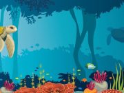 ¡Mucho más que peces! El lado B de la vida oceánica