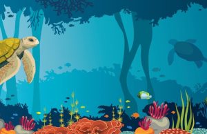 ¡Mucho más que peces! El lado B de la vida oceánica Revista Selecciones