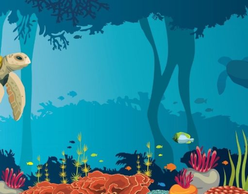 ¡Mucho más que peces! El lado B de la vida oceánica