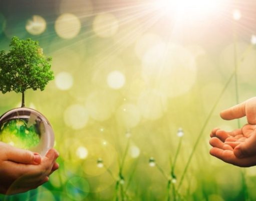 Jubilados a favor de las energías limpias Energías limpias