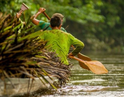 Yasuni, tierra sagrada