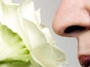 10 datos asombrosos de nuestro sentido del olfato 10-datos-asombroso-de-nuestro-sentido-del-olfato-6406-mainImage-0