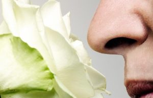 10 datos asombrosos de nuestro sentido del olfato 10-datos-asombroso-de-nuestro-sentido-del-olfato-6406-mainImage-0