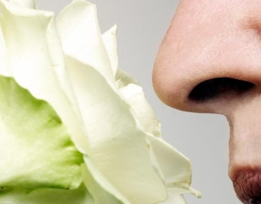 10 datos asombrosos de nuestro sentido del olfato 10-datos-asombroso-de-nuestro-sentido-del-olfato-6406-mainImage-0