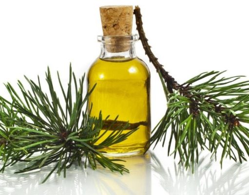 4 datos del aceite de pino: relajación asegurada 5-datos-del-aceite-de-pino-relajacion-asegurada-5610-mainImage-0