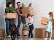 6 factores clave para tener un hogar apto mascotas