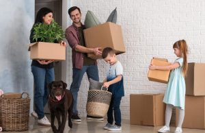 6 factores clave para tener un hogar apto mascotas Revista Selecciones