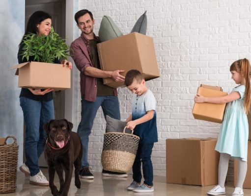 6 factores clave para tener un hogar apto mascotas