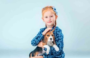 6 maneras para mejorar la inteligencia de su perro Revista Selecciones