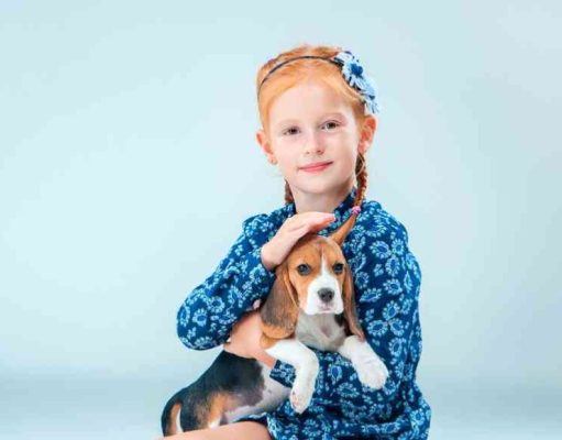 6 maneras para mejorar la inteligencia de su perro