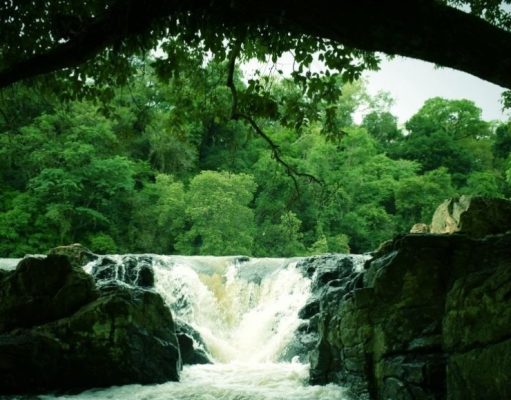 7 MAR: Belleza viva por siempre