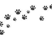 ¡A jugar! ¿Qué animal es según su huella?