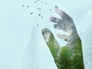 A veces, dar solo una mano es todo lo que una persona necesita