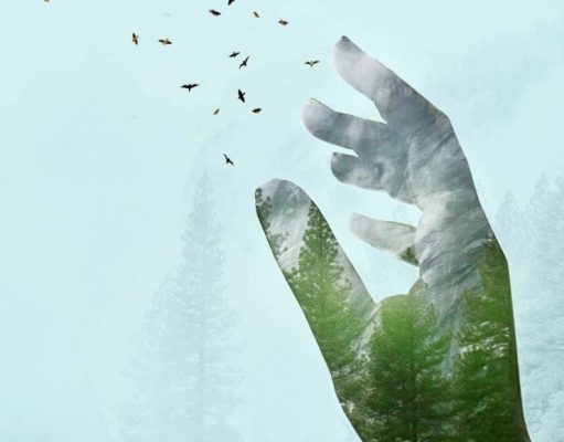 A veces, dar solo una mano es todo lo que una persona necesita