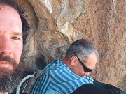 Abejas asesinas: arriesgó la vida por un amigo