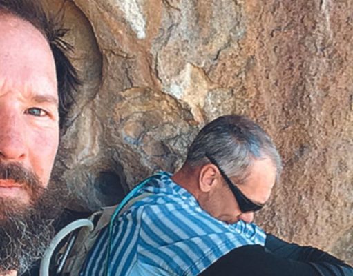 Abejas asesinas: arriesgó la vida por un amigo