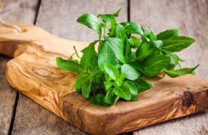 Albahaca, tan aromática como deliciosa Revista Selecciones