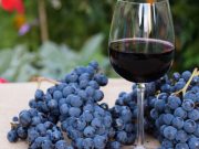 Alimentos que curan: vino