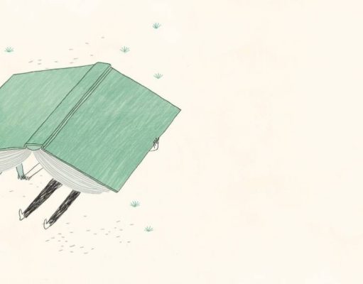 Amor entre libros. La historia de cómo dos bibliófilos encontraron su corazón