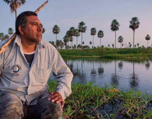 Baqueano de aguas dulces: un paseo impresionante por Bañado la estrella