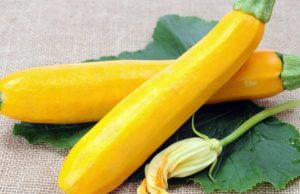 Beneficios de consumir calabacín o zapallito italiano beneficios-del-calabacin-o-zapallito-italiano-6714-mainImage-0