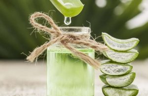 Beneficios imperdibles del aloe vera Revista Selecciones