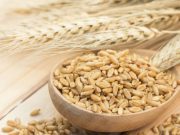 Cebada: mucho más que el ingrediente estrella de la cerveza