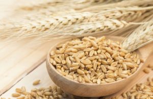 Cebada: mucho más que el ingrediente estrella de la cerveza Revista Selecciones