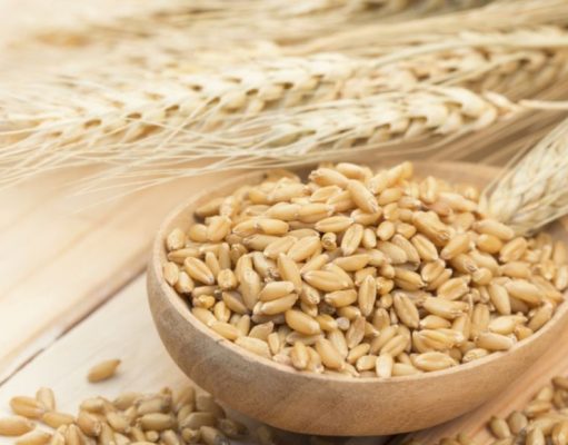 Cebada: mucho más que el ingrediente estrella de la cerveza