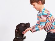 Cómo educar a la mascota para que no muerda