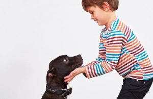 Cómo educar a la mascota para que no muerda Revista Selecciones