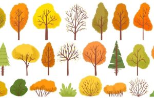 ¿Cómo elegir el mejor árbol o arbusto para su jardín? Revista Selecciones