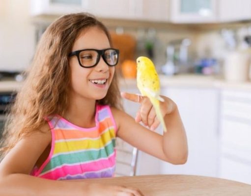 ¿Cómo elegir la mascota ideal para sus hijos?