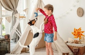 ¿Cómo evitar que las mascotas muerdan? Revista Selecciones