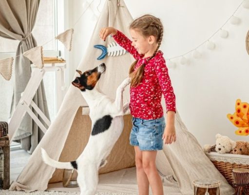 ¿Cómo evitar que las mascotas muerdan?