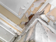 Cómo lidiar con problemas de humedad en casa