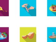 ¿Cómo manipular y almacenar alimentos de forma segura?