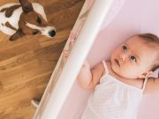 Cómo preparar a su mascota para la llegada de un bebé