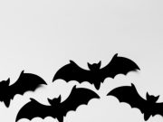 ¿Cómo se originó el coronavirus?