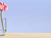 Cómo ser una persona más bondadosa: historias reales