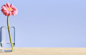 Cómo ser una persona más bondadosa: historias reales Revista Selecciones