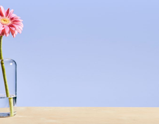 Cómo ser una persona más bondadosa: historias reales