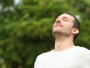 Cómo tomar la hierba efedra o Ma huang