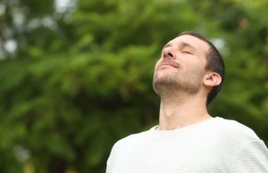 Cómo tomar la hierba efedra o Ma huang Revista Selecciones